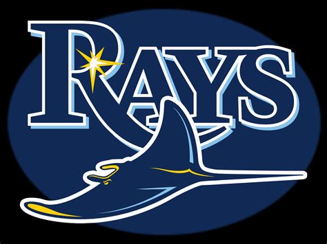 tampa bay rays jersey logo